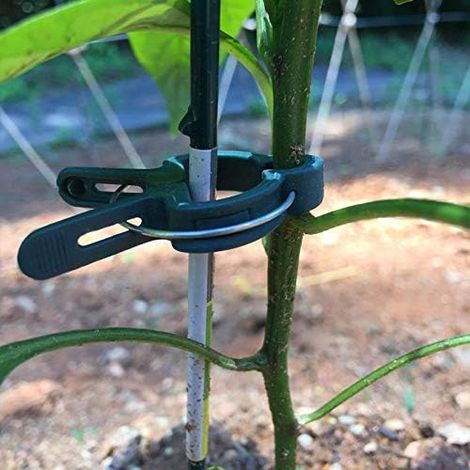 Clips Pour Attacher Les Plantes 20 Vert Pour Plantes- Aide À l'Escalade Grimpantes Sur Tuteur Spirale Ou Piquet Bambou (1/5)