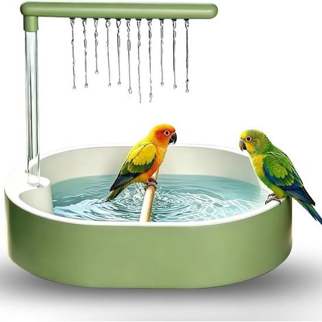 Ducha para pájaros, Baño automático para pájaros, Plástico, 31,8 x 25 x 8,5 cm, incluyendo loros, agapornis y loros cebra, Verde (1/5)