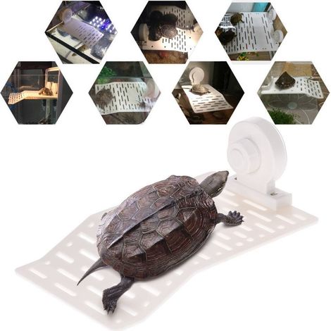 TrAdE Shop Traesio - Isola Galleggiante Plastica Con Ventosa Piattaforma Tartarughe Rettili Acquario - (1/3)