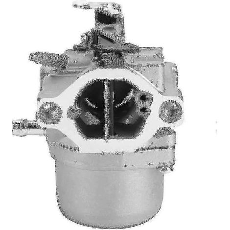Accesorios de repuesto para carburador de jardín compatibles con Briggs Stratton 799728 498027 12hp 12.5hp - Ssxjv SZRH AM (1/2)