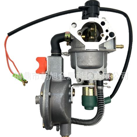 188 Dual-Fuel-Generator Automatik Gas-Vergaser Generator 188 Wasserpumpe Multifuel (1/4)