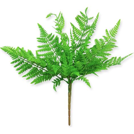 BioPlant Fern n.3 Felce verde per terrario 54cm (1/5)