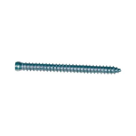 Vis menuiserie tête réduite - 7,5x102 mm - Sachet de 10 (1/4)
