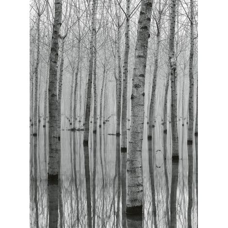 Papier peint panoramique foret de bouleau dans eau | Tapisserie panoramique nature noir & blanc | Papier peint panoramique bois chambre adulte - 192 X 260 cm (4 pièces) (1/2)