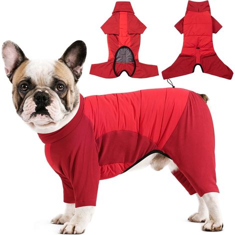 Manteau Chien Canin à 4 Pattes, Veste Hiver Élastique avec Passante pour Laisse, Combinaison Chaude pour Petits, Moyens et Grands Chiens (1/5)