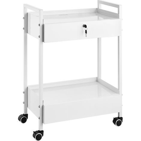 VEVOR Carrello da laboratorio, Carrello multiuso in acciaio inox a 2 livelli, Carrello medico 2 cassetti, rotelle girevoli per laboratorio, ospedale, odontoiatria, salone bellezza