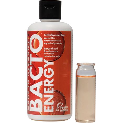 Faune Marin Bacto Energy 500 ml