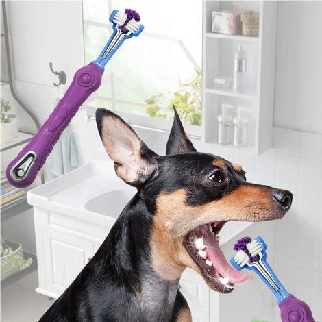 Brosse à dents à trois faces pour chiens, élimine la mauvaise haleine et la plaque dentaire, nettoie la cavité buccale, pour les soins dentaires des animaux de compagnie et pour l'hygiène buccale des (1/4)