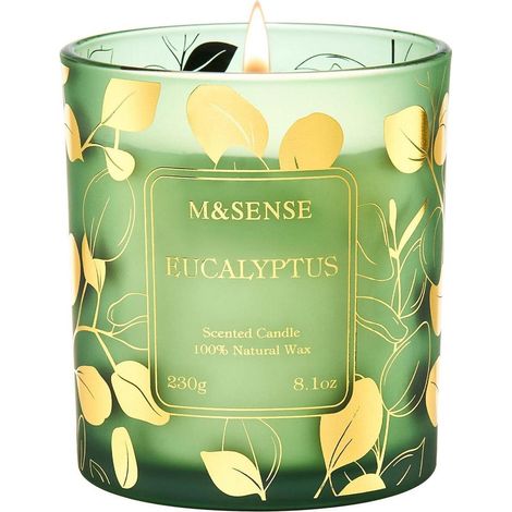 Duftkerze Eukalyptus im Glas, 42h Brenndauer, 230g Sojawachs, Aromatherapie, Geschenk