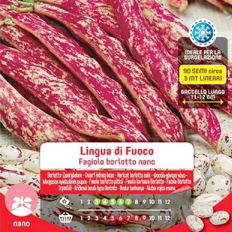 SEMI FAGIOLI BORLOTTI NANI LINGUA DI FUOCO