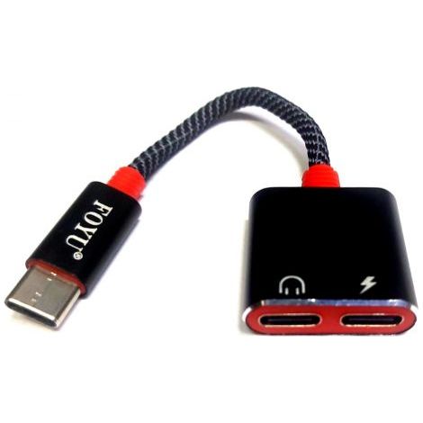 ADATTATORE SDOPPIATORE TIPO-C/TYPE-C + TIPO-C (1/5)