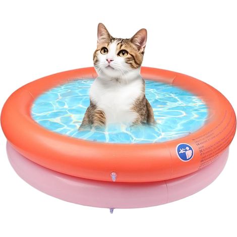 Piscine pour Animaux De Compagnie - pour Extérieur Baignoire (1/5)