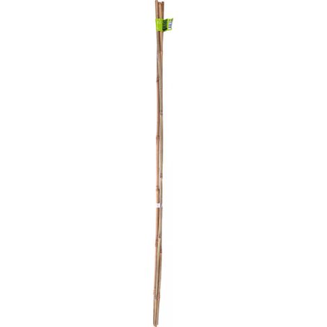 Tutor in Bambù Naturale 210cm D16/18mm X210cm - Nortene