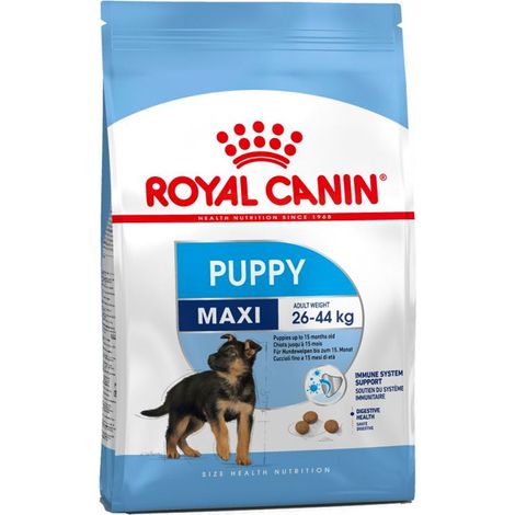 Royal Canin – Croquettes pour chien maxi puppy 4 kg – Pour chiots de grandes races 26-44 kg – Soutien immunitaire et digestion optimale