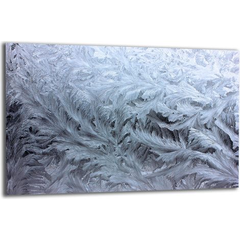 PLAQUE DE PROTECTION EN VERRE POUR CUISINIÈRE 80x52 PLUMES (1/5)