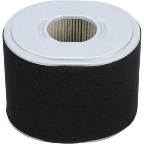 Filtre à Air Gx390 Filtre à Air Afze18 Filtre à Air Af Ze28 Moteur Gx390 Pièces de Nettoyeur Haute Pression Gx390 294, Accessoire de Remplacement de Filtre à Air pour Tondeuse à Gazon pour Mot (1/5)