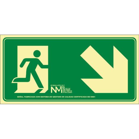 Señal Salida Bajada Escalera Derecha (Solo Pictograma) Luminiscente | CLASE A (PVC 1 mm) - 320 x 160 mm (1/2)