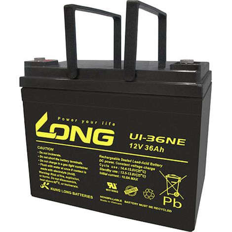 Long Blei-Batterie U1-36NE 12V 36Ah Schwarz