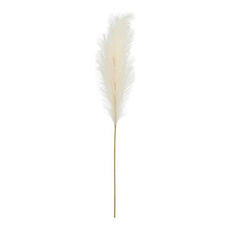 Herbe de la pampa artificielle, 15 x 110 cm, crème clair (1/4)