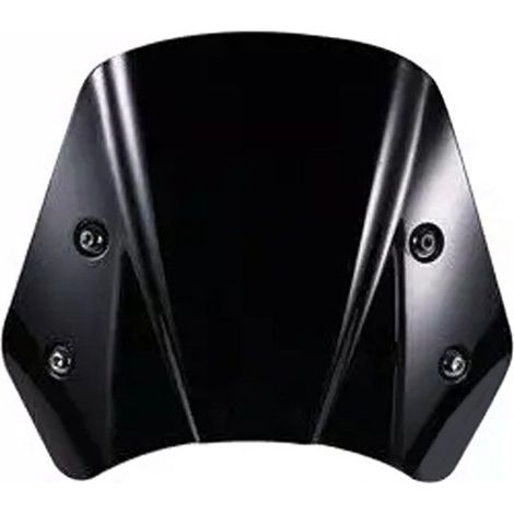 Saute-vent - RW2 - Pour Indian FTR 1200 / FTR 1200 S - ABS haute résistance - Noir 27x23 cm