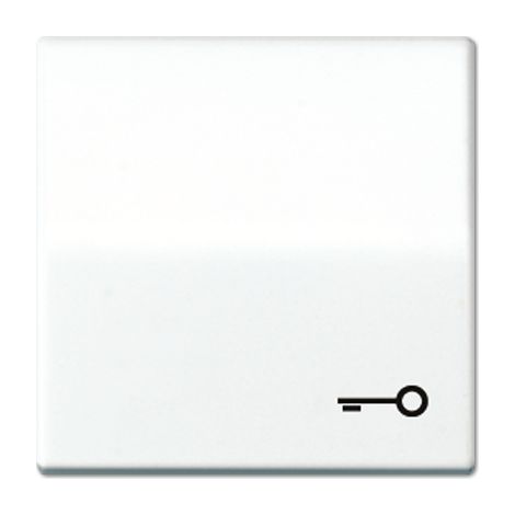 Jung Tasto basculante 1 posto, simbolo porta, duroplastico, Serie AS, bianco alpino AS 591 T WW