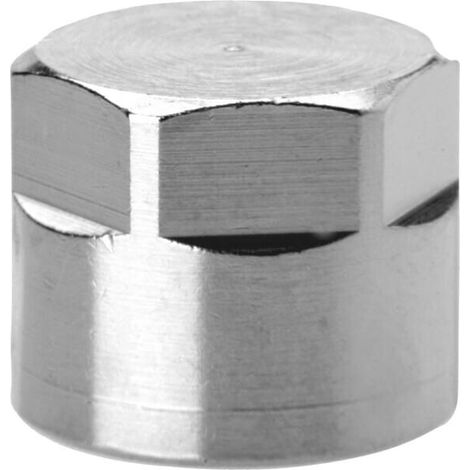 Bouchon CAMOZZI 261318 (1/2)