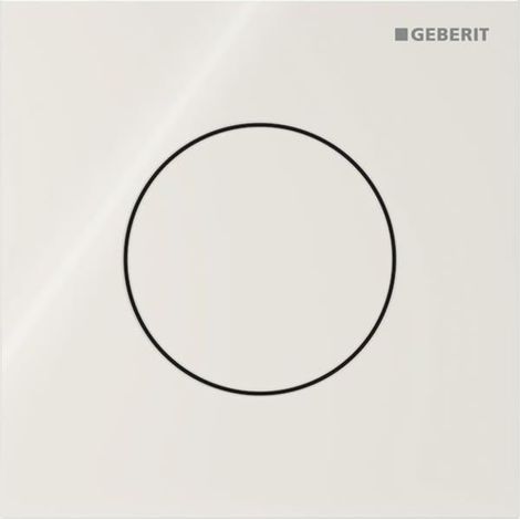 Geberit Typ 40 Urinalsteuerung mit pneum. Spülauslösung, Betätigungsplatte rund, Taste Sandgrau, Glas glänzend (1/5)