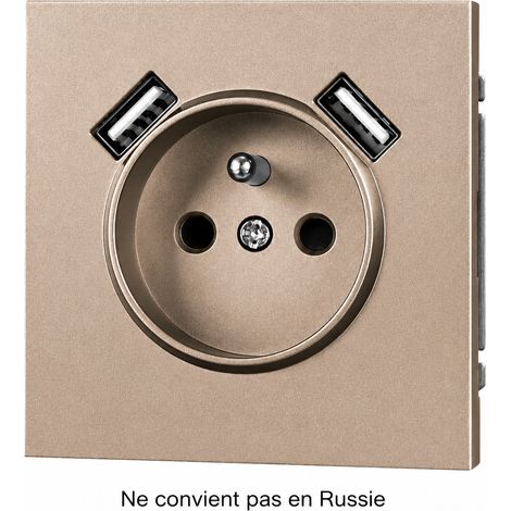 Prise murale prise française avec 2 USB (A+A) doré série Z PC ignifuge 16A 250V 13 × 9 × 10 cm – Livraison gratuite