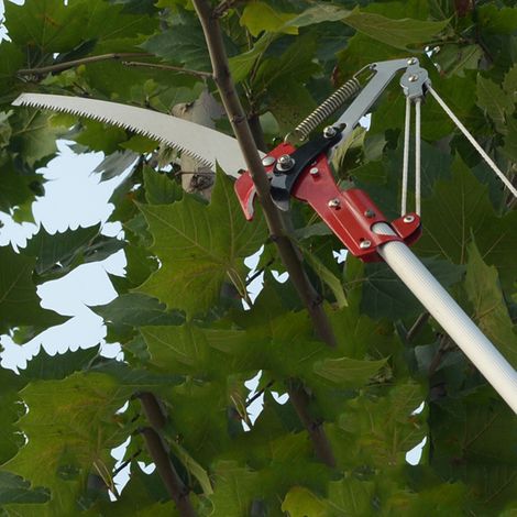 Sécateur à 4 roues, outil de taille pour arbres et élagueurs (1/5)