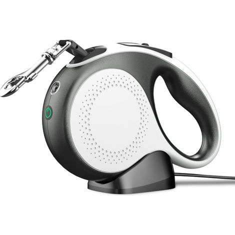 Laisse pour chien rétractable 5m avec lumière LED rechargeable, laisse pour chien rétractable (jusqu'à 30kg), avec verrouillage à bouton unique, sangle en nylon avec coutures réfléchissantes (1/5)