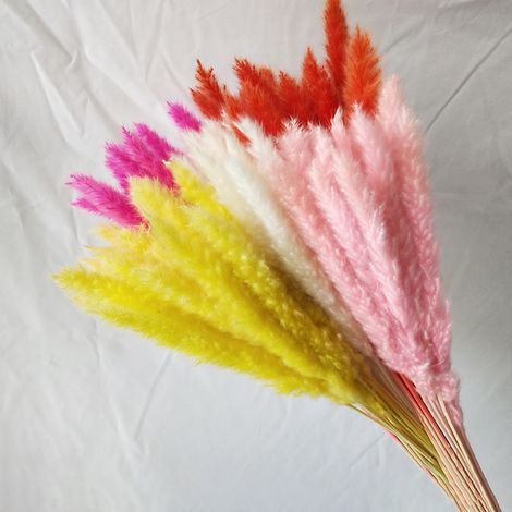 Pampas Grass - 45 cm - Décor Séché pour Mariage Centre de Table Intérieur Extérieur - 15 Pièces (1/5)