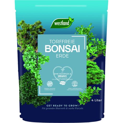 Westland Bonsai Erde torffrei 4 L Universalerde