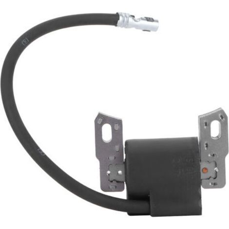 Pièce Détachée Ignition Compatible Modèles 590455 793354 799382 pour Tondeuse - (1/5)