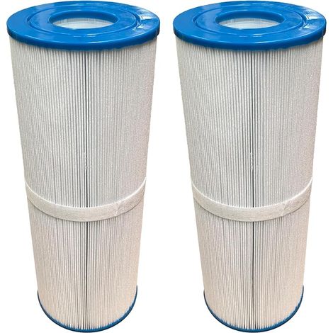 Cartouches filtrantes FD2003 compatibles avec C-4950 PRB50IN FC-2390 Filtre de Rechange pour Spa, Lot de 2 (1/5)