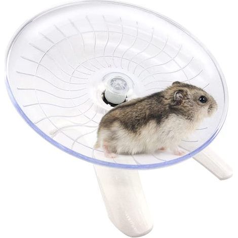 Laufrad für Kleintiere, Hamsterrad, Laufrad für Hamster, geräuschloses Laufrad für Hamster, Nagetiere, Laufrad für Nagetiere und Kleintiere (weiß) (1/5)