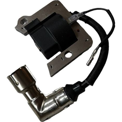 Bobine d'allumage MTD 751-10367 - Compatible MTD 951-10367 pour moteurs (1/3)