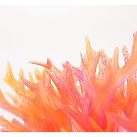 Décoration Aquarium - Figurine Créature en Plastique et Céramique - Abri pour Poissons - Dimensions 20 x 13 cm - 1 Pièce (1/3)