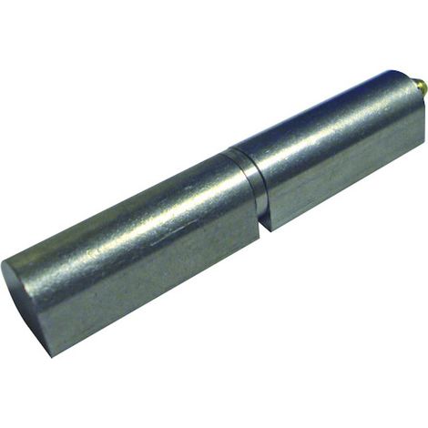 Paumelle à souder SOUDAROC inox avec bague inox et graisseur hauteur 140 mm - TORBEL INDUSTRIE