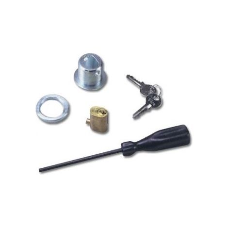 Kit de liberación externa con pestillo de llave para puertas basculantes NICE OTA12