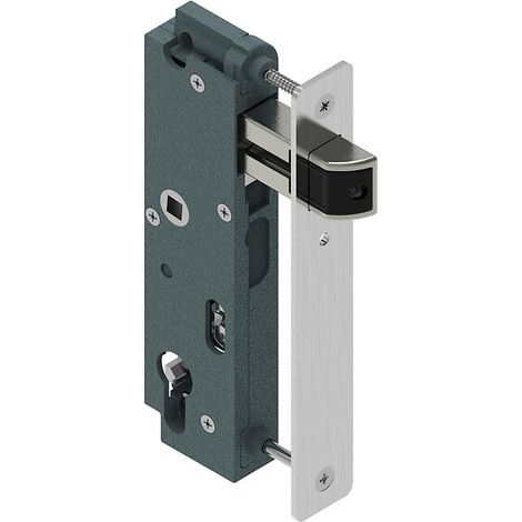 Tirard – Serrure en retrait type GK – Têtière inox brut L 182 x l 28 mm – Profondeur 44 mm pour sécurité optimale – Gâche pour portail (1/2)