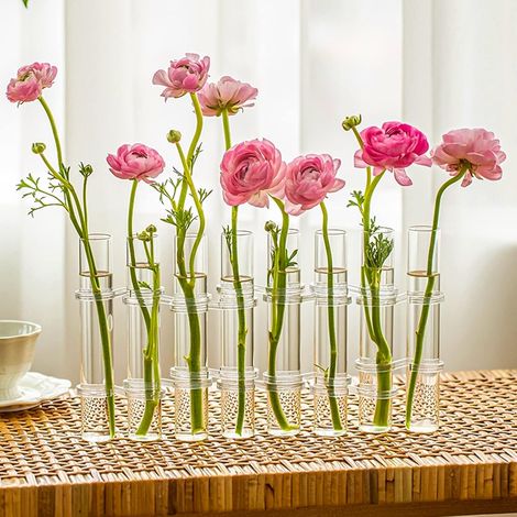 Vase en verre rabattable hydroponique, tube à essai, support pour fleurs et plantes, décoration d'intérieur Transparent (1/5)