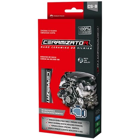 MOTORE A BENZINA CERAMIZER CSB - TEC 852017 (1/2)