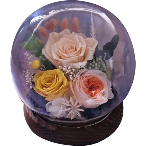Flores preservadas bajo una cúpula de cristal: regalos para tu novia/esposa en el Día de Qixi, San Valentín, Navidad, graduación o cumpleaños.