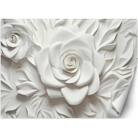 Fototapete Weiße Blumen 3D 400x280 cm (1/5)