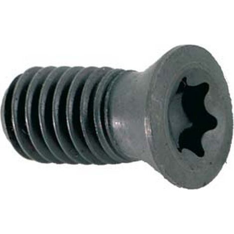 Pièce de rechange (vis TORX®) pour forets plein pour plaques de coupe réversibles, à arrosage central