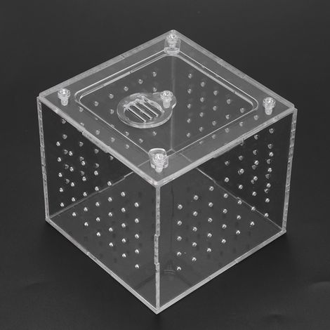 Terrarium pour reptiles, mangeoire, araignées, lézards, élevage, boîte en acrylique, maison pour insectes (1/5)