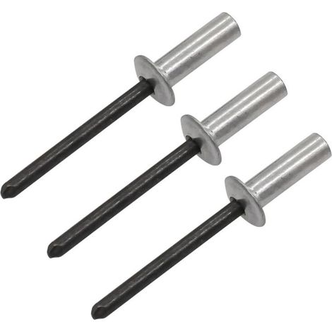 100 Pièces Rivets Aveugles Étanches, 5X10mm Aluminium Rivet Pop Étanchéité Anthracite Rivet Plaque Immatriculation pour Caniveaux Drainage, Toitures Tôle Ondulée, Réparation Serres (1/5)