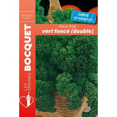 Persil frisé vert foncé gros grammage - 15g
