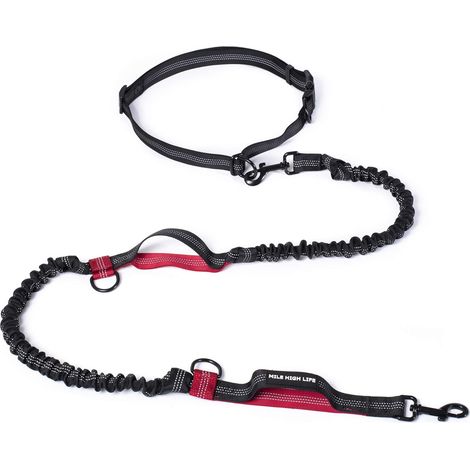 1 Laisse de course pour chien, ajustable, avec deux poignées rembourrées, élastique durable, réfléchissante, pour petits moyens grands chiens (1/5)