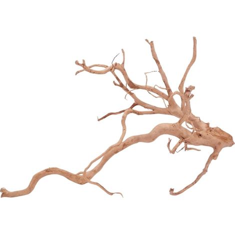 XXL Moorkienwurzel Nr.4334 Holz Deko Aquascaping